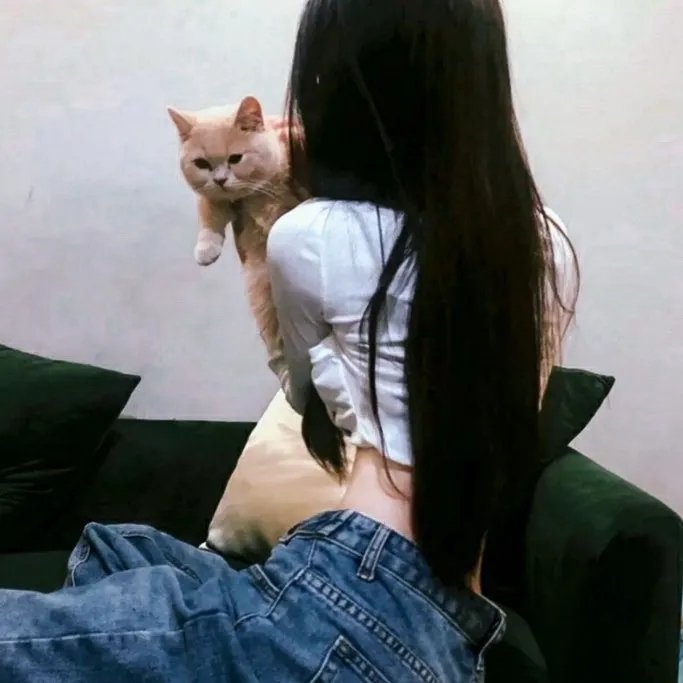 热恋彩虹岛