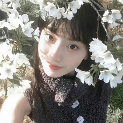 山口山战记之草裙娃娃